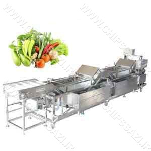 وارد کننده دستگاه شستشوی سبزی اصل