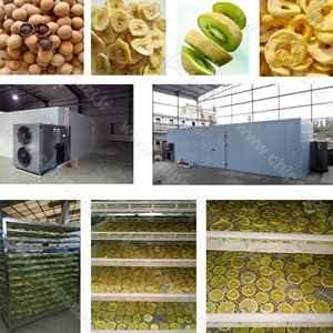 فروش پربازده ترین دستگاه خشک کن میوه صنعتی